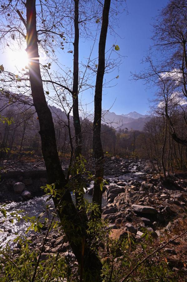 Zostel Dobhi, Manali Vandrerhjem Nagar  Eksteriør bilde